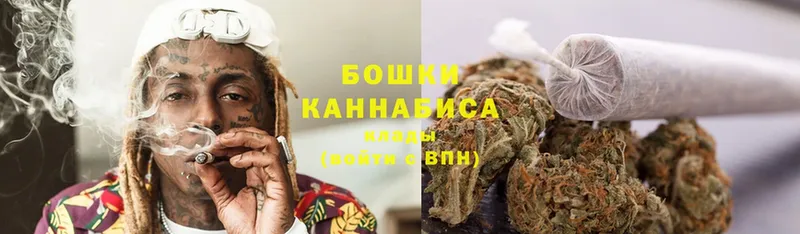 где купить   Павлово  Конопля Ganja 